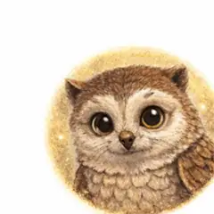 Alder the owl